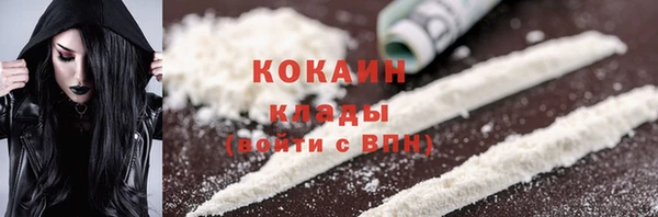 крисы Аркадак