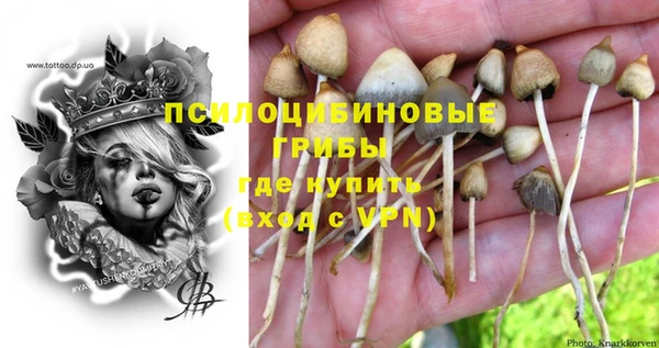 PSILOCYBIN Арсеньев