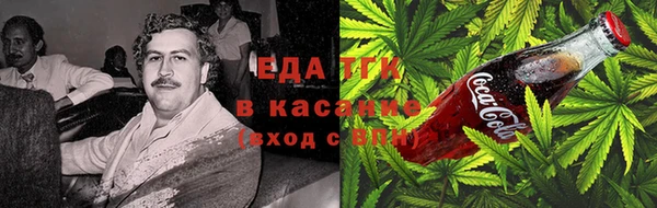 крисы Аркадак