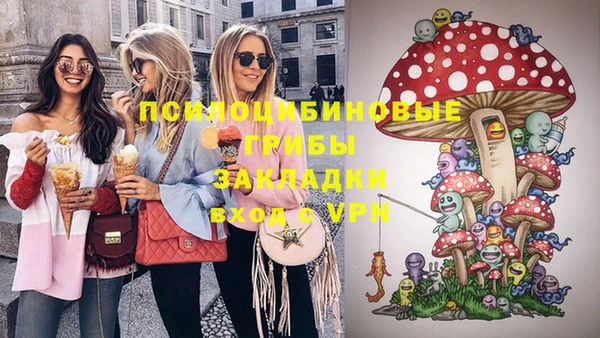 PSILOCYBIN Арсеньев
