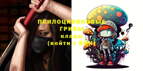 гидропоника Алексеевка