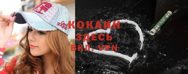крисы Аркадак